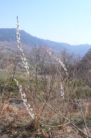 수선마당 이미지