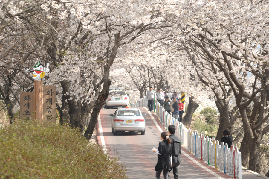 �̹����� Ŭ���ϸ� ������ ���� �� �ֽ��ϴ�.