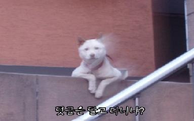 공감 이미지