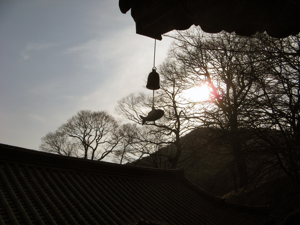 �̹����� Ŭ���ϸ� ������ ���� �� �ֽ��ϴ�.