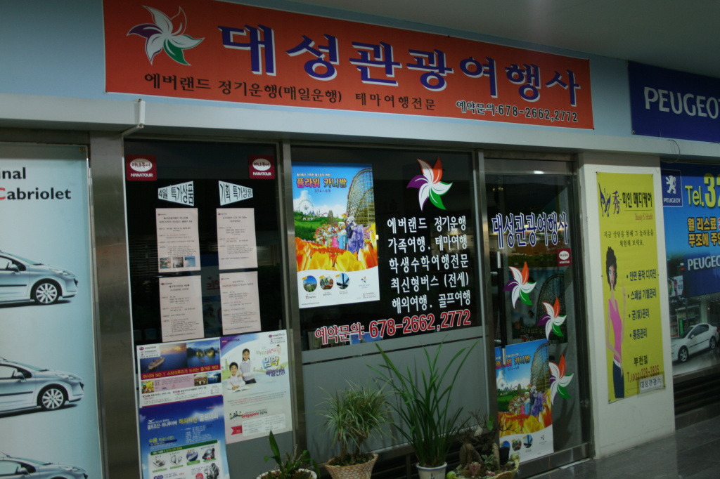 대성여행사 이미지