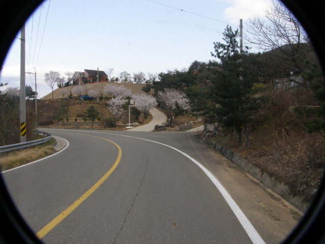 숲속정원 이미지