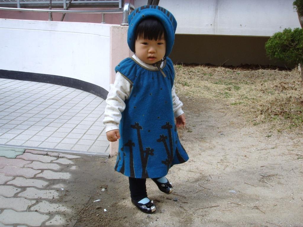 서진 이미지