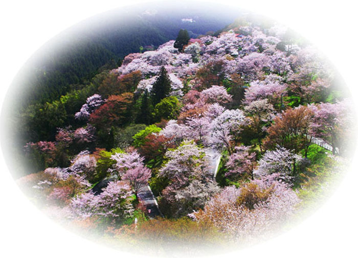 산수주유소 이미지