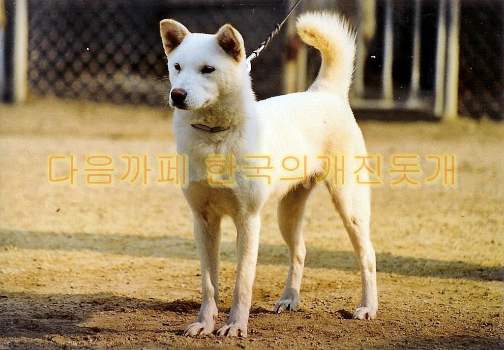 국희 이미지