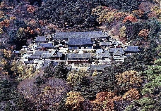대도장 이미지