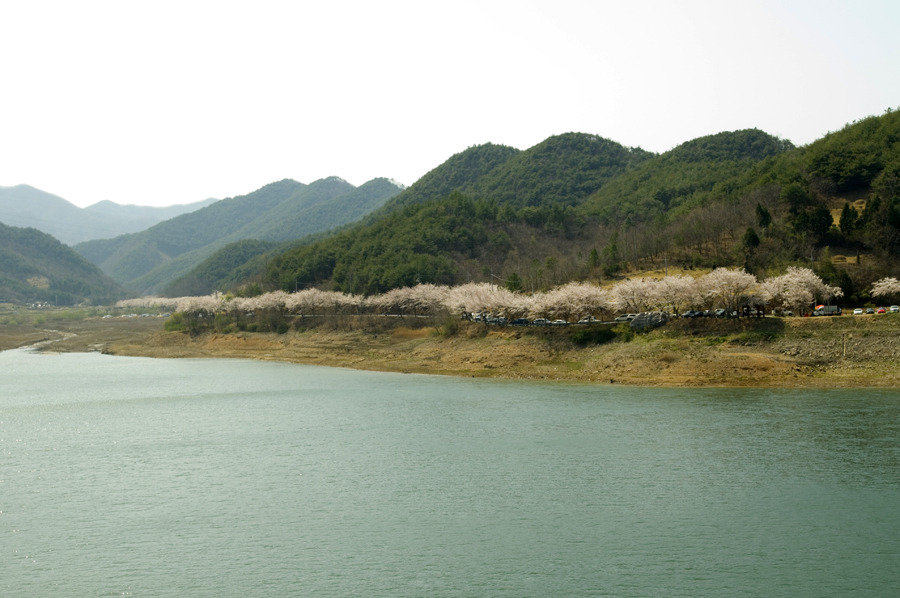 �̹����� Ŭ���ϸ� ������ ���� �� �ֽ��ϴ�.