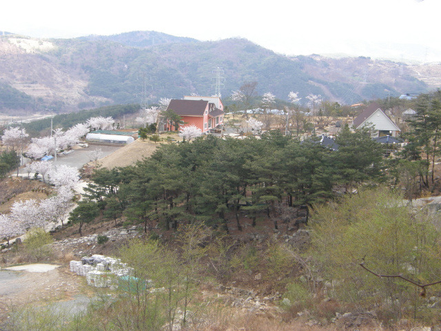 숲속정원 이미지