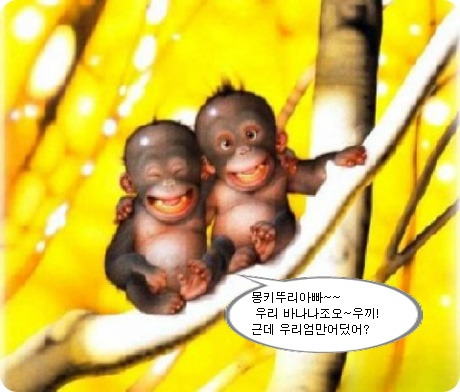 아이뚜리 이미지