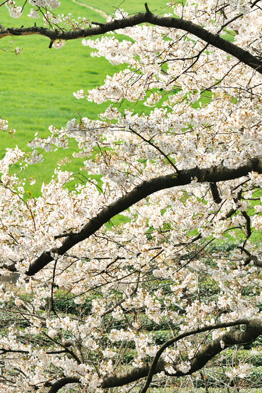 �̹����� Ŭ���ϸ� ������ ���� �� �ֽ��ϴ�.