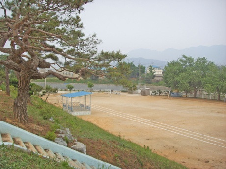 신림초등학교 이미지